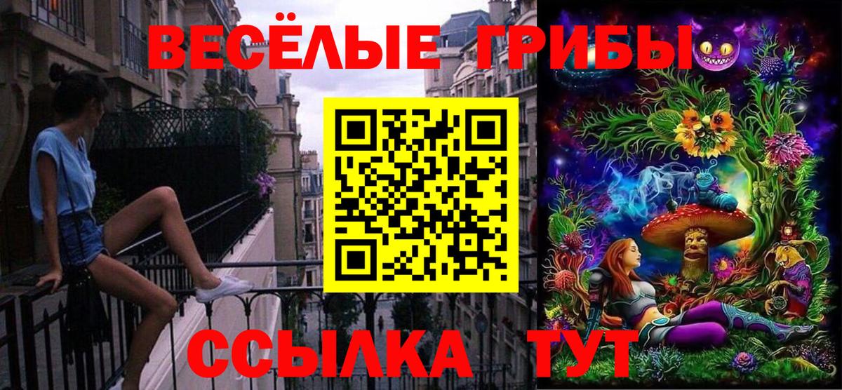 Екатеринбург  Псилоцибиновые грибы Psilocybe  продажа наркотиков  Вход с VPN 